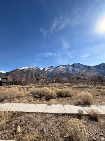 1664 North Dean Court, Unit 5 Alpine, UT 84004 - Photo 11 of 18