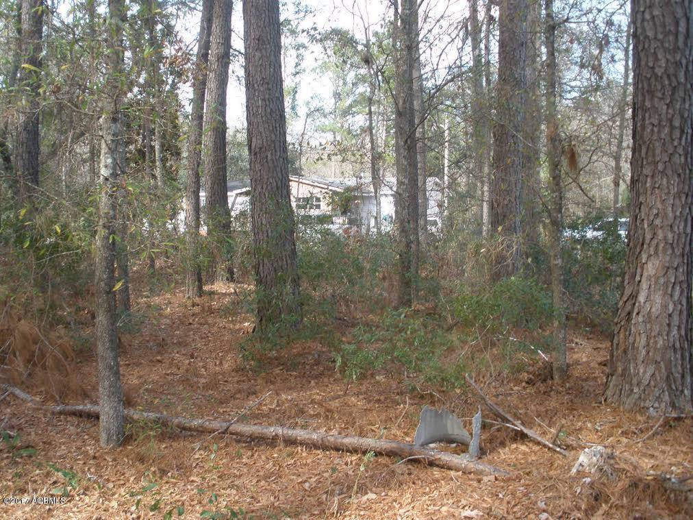 Tbd Tbd Chipa Willow Road Ridgeland, SC 29936 - Photo 3 of 11 b