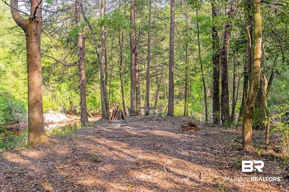 11100 Kali Oka Road Eight Mile, AL 36613 - Photo 20 of 49