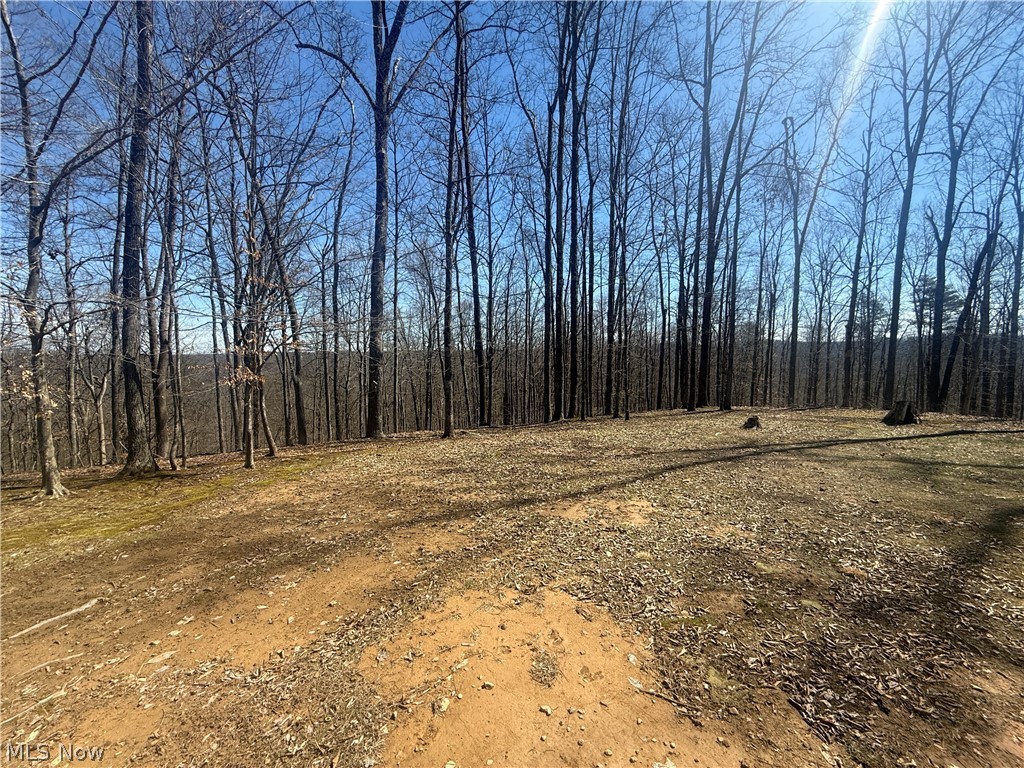 1137 Cain Road Big Bend, WV 26136 - Photo 24 of 31