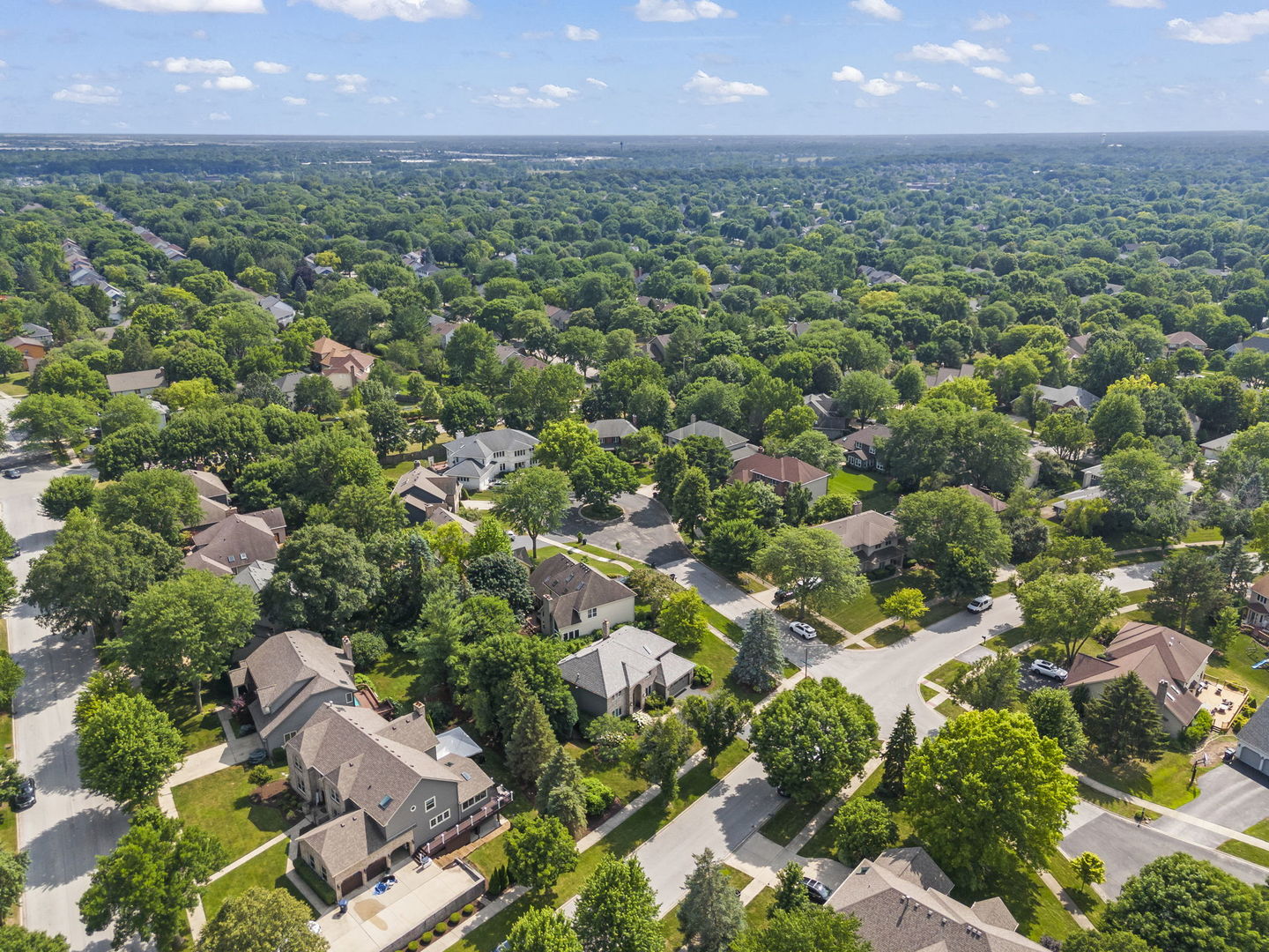 816 Spindletree Avenue Naperville, IL 60565 - Photo 50 of 54
