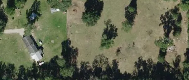 a close up of a plant in a garden