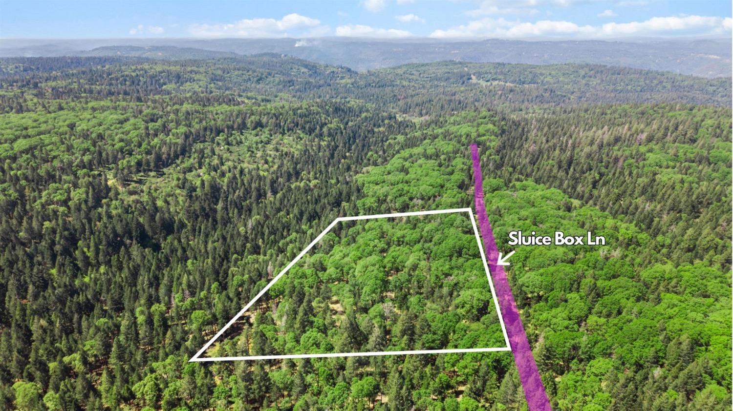 a view of a forest from a balcony