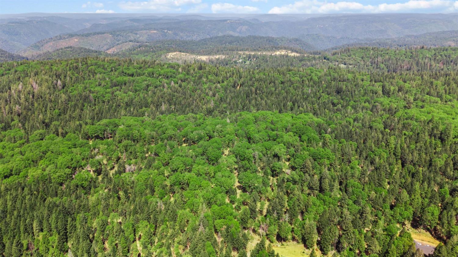 0 Sluice Box Lane Foresthill, CA 95631 - Photo 12 of 16 a view of a big yard with lots of green space