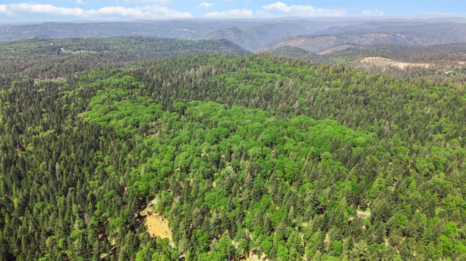 0 Sluice Box Lane Foresthill, CA 95631 - Photo 14 of 16 a view of a lush green field with a mountain in the background