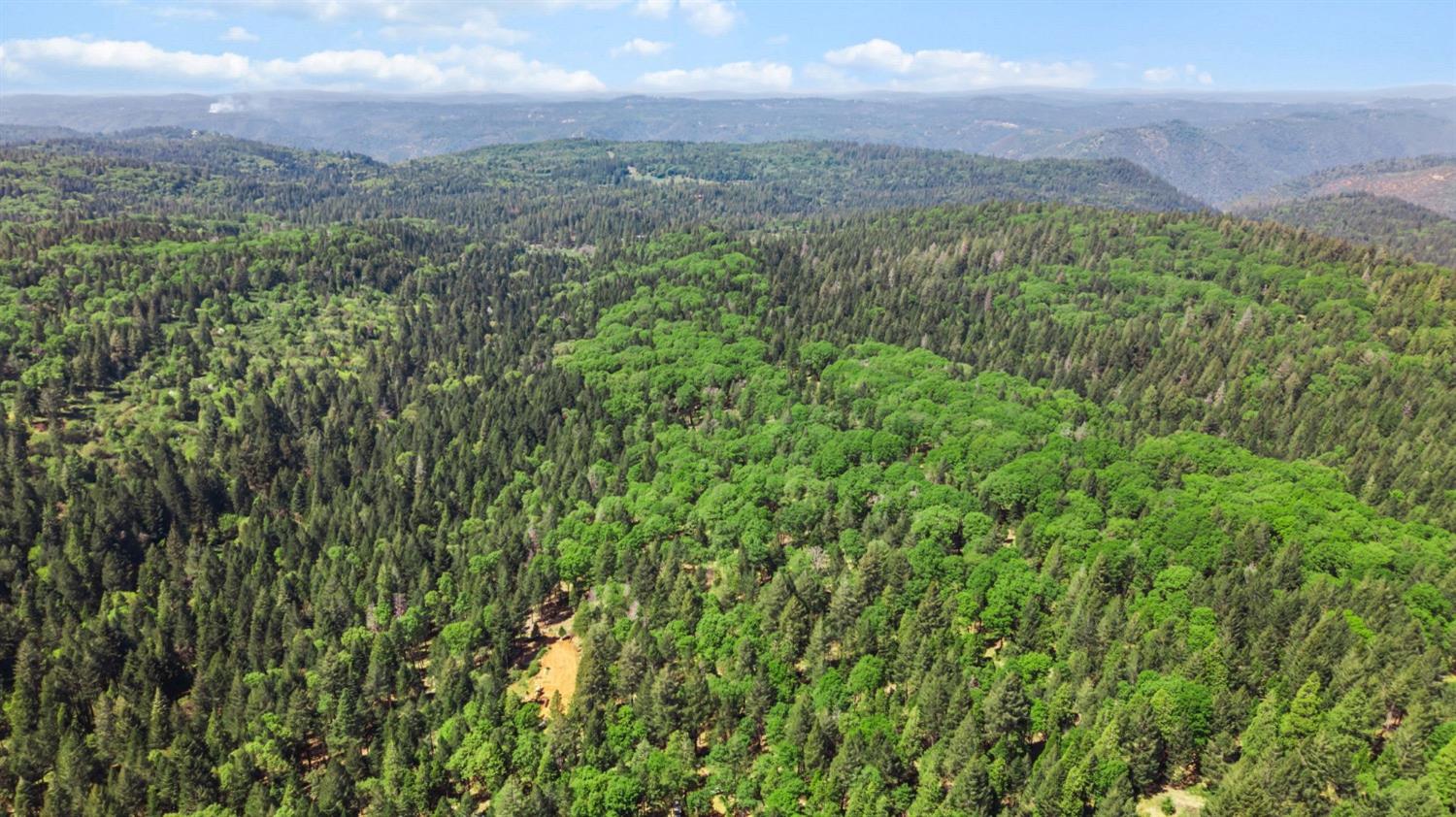 0 Sluice Box Lane Foresthill, CA 95631 - Photo 15 of 16 a view of a green field with lots of bushes