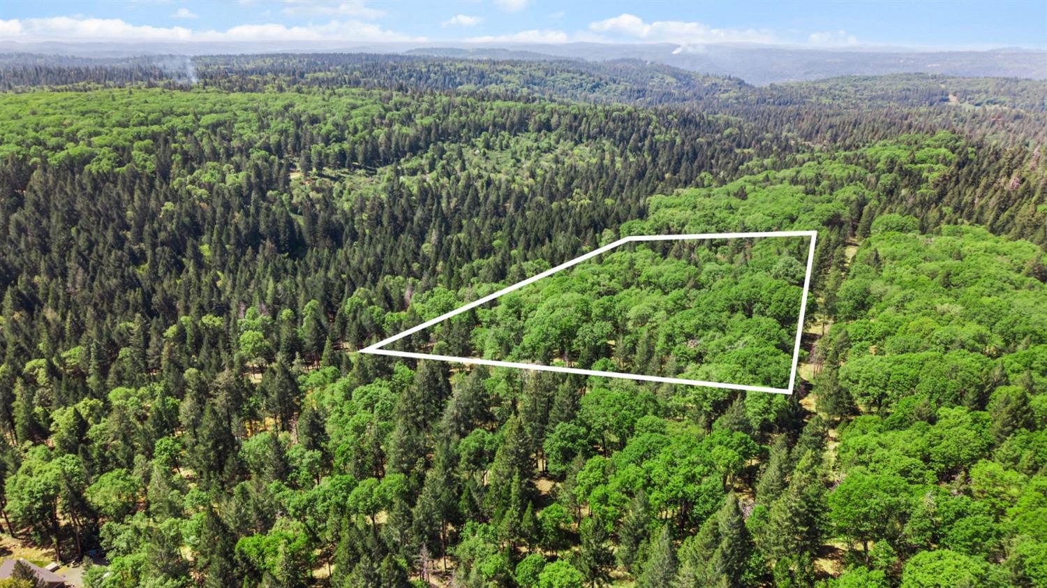 0 Sluice Box Lane Foresthill, CA 95631 - Photo 3 of 16 a view of a green field with a tree in the background