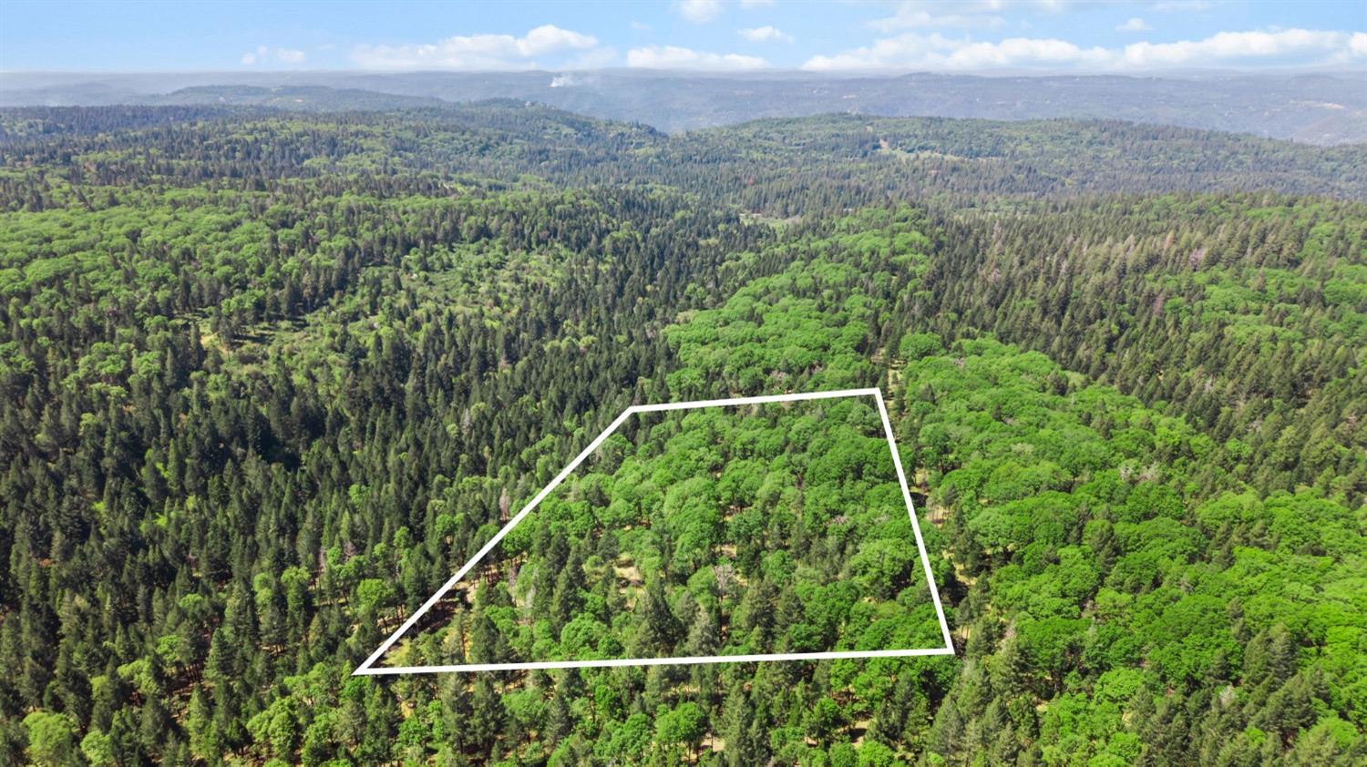 0 Sluice Box Lane Foresthill, CA 95631 - Photo 5 of 16 a view of a yard