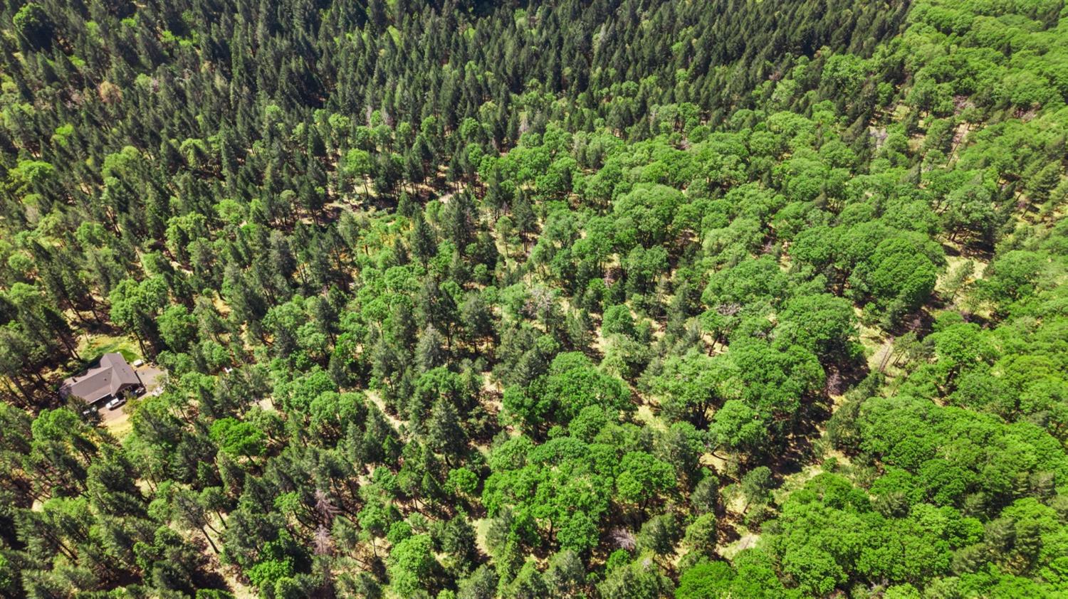 0 Sluice Box Lane Foresthill, CA 95631 - Photo 7 of 16 a view of a lush green field