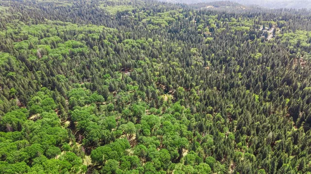a view of a green field