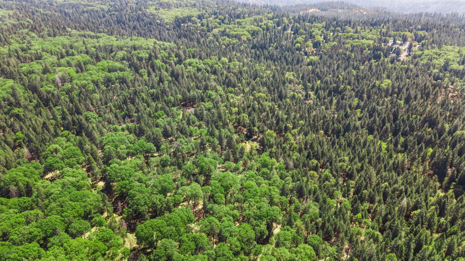0 Sluice Box Lane Foresthill, CA 95631 - Photo 8 of 16 a view of a green field