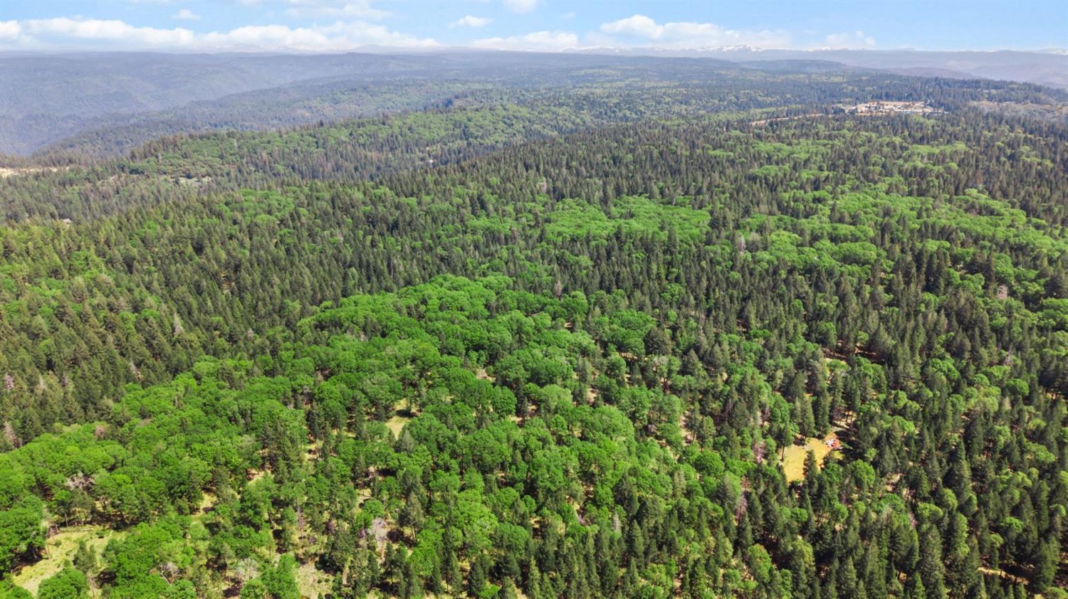 0 Sluice Box Lane Foresthill, CA 95631 - Photo 9 of 16 a view of a green field with lots of bushes