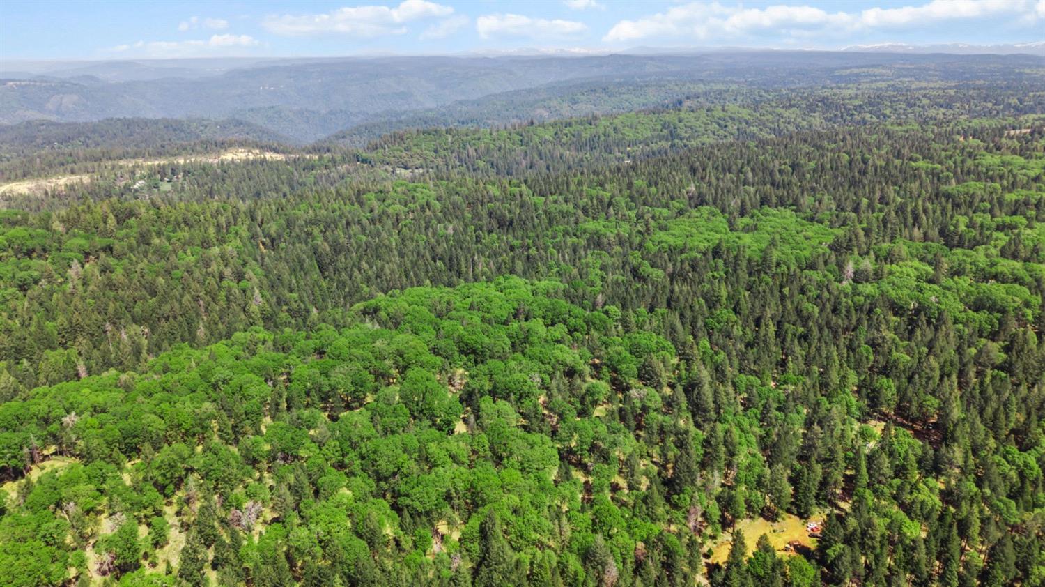 0 Sluice Box Lane Foresthill, CA 95631 - Photo 10 of 16 a view of a green field with lots of bushes