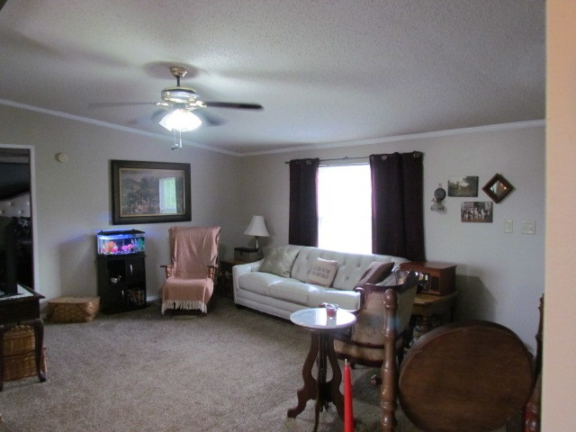 760 Shiloh Road Corinth, KY 41010 - Photo 6 of 27 Gallery Image 6