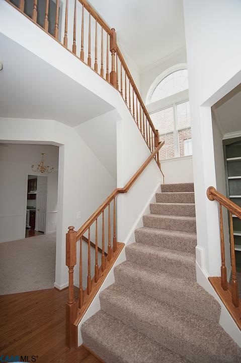 702 Rainier Road Charlottesville, VA 22903 - Photo 15 of 27 a view of entryway and hall with wooden floor