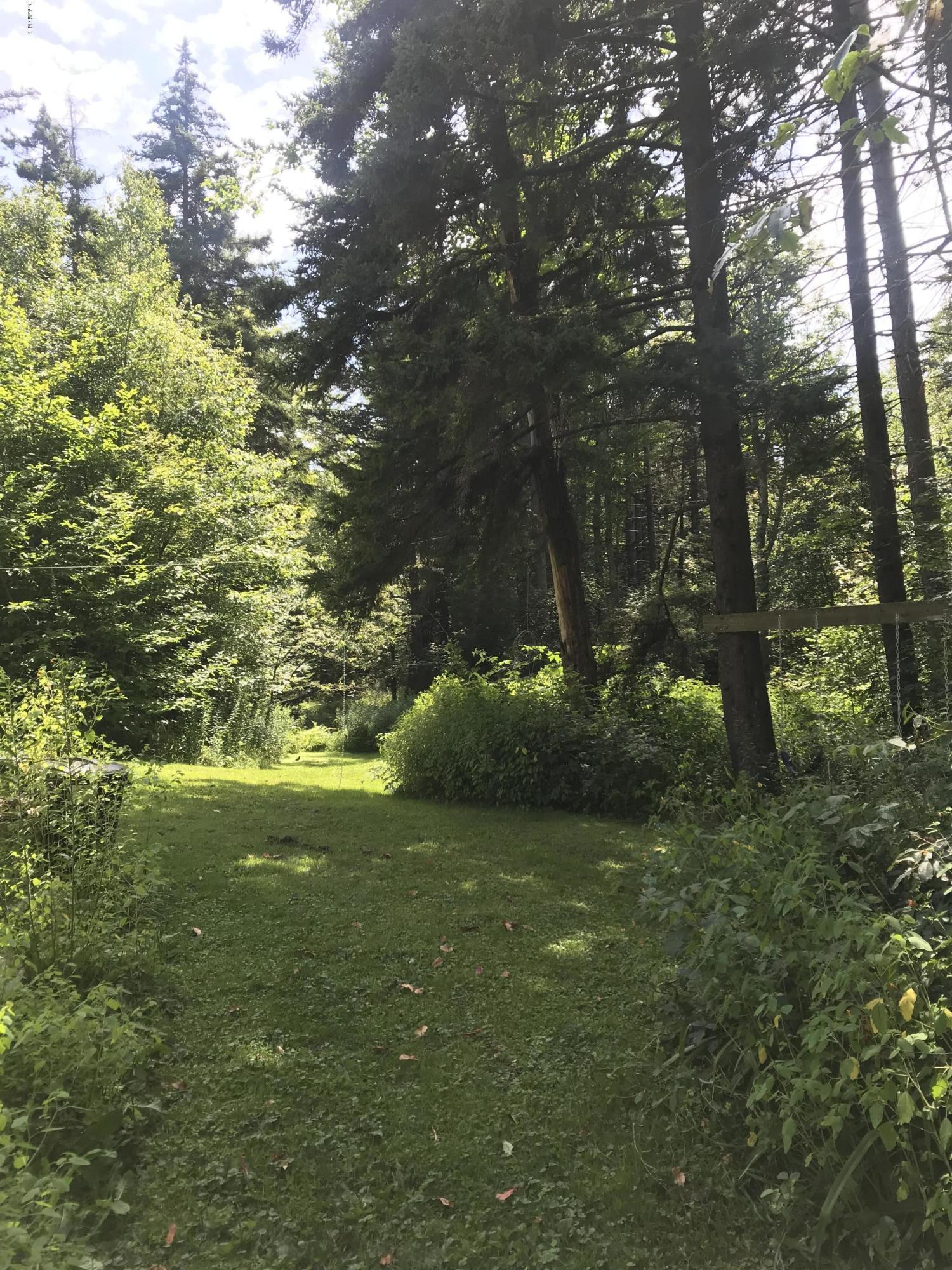 40 Humes Road Windsor, MA 01270 - Photo 3 of 10 a view of a field with a tree