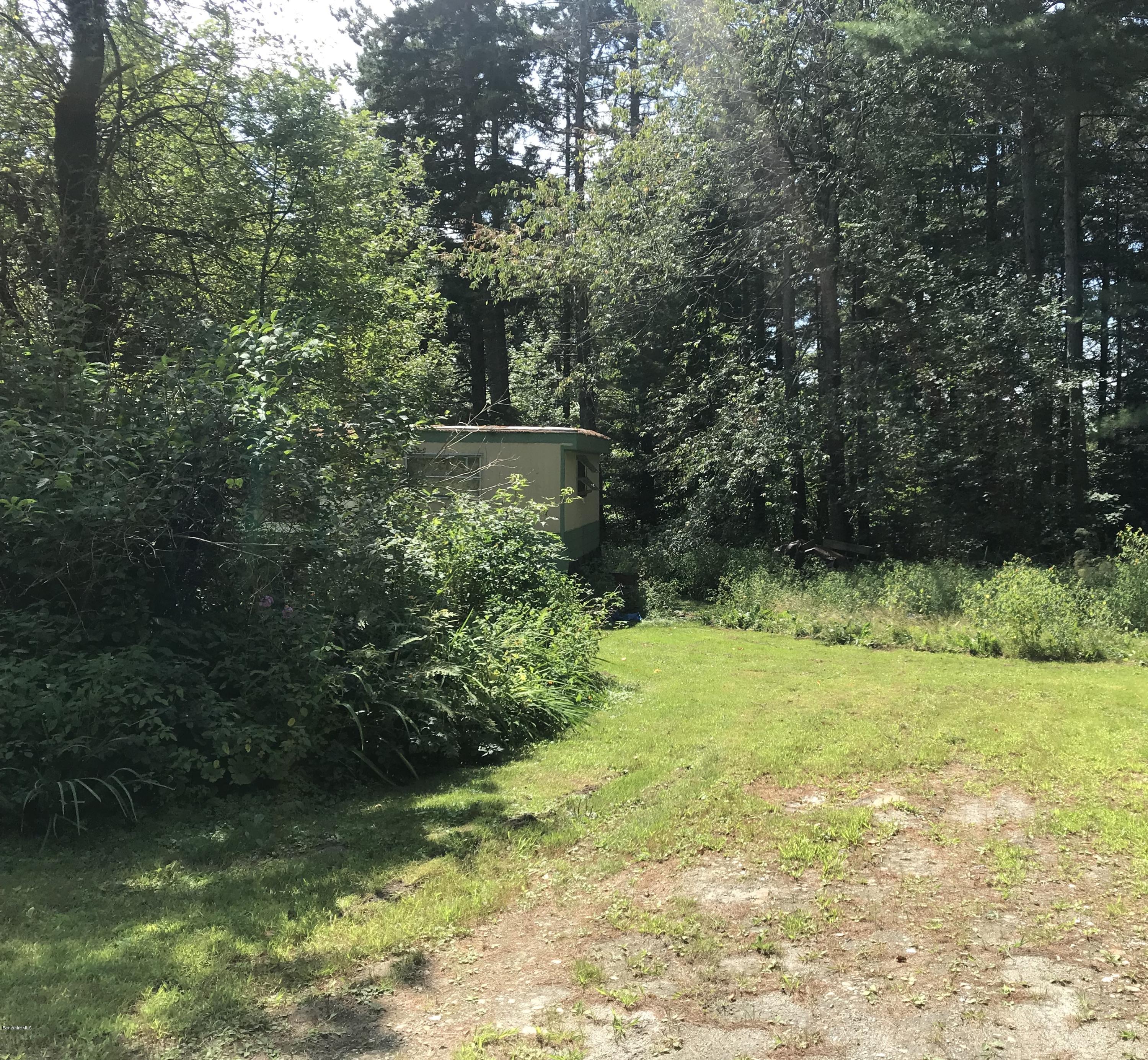 40 Humes Road Windsor, MA 01270 - Photo 5 of 10 a view of a garden with plants