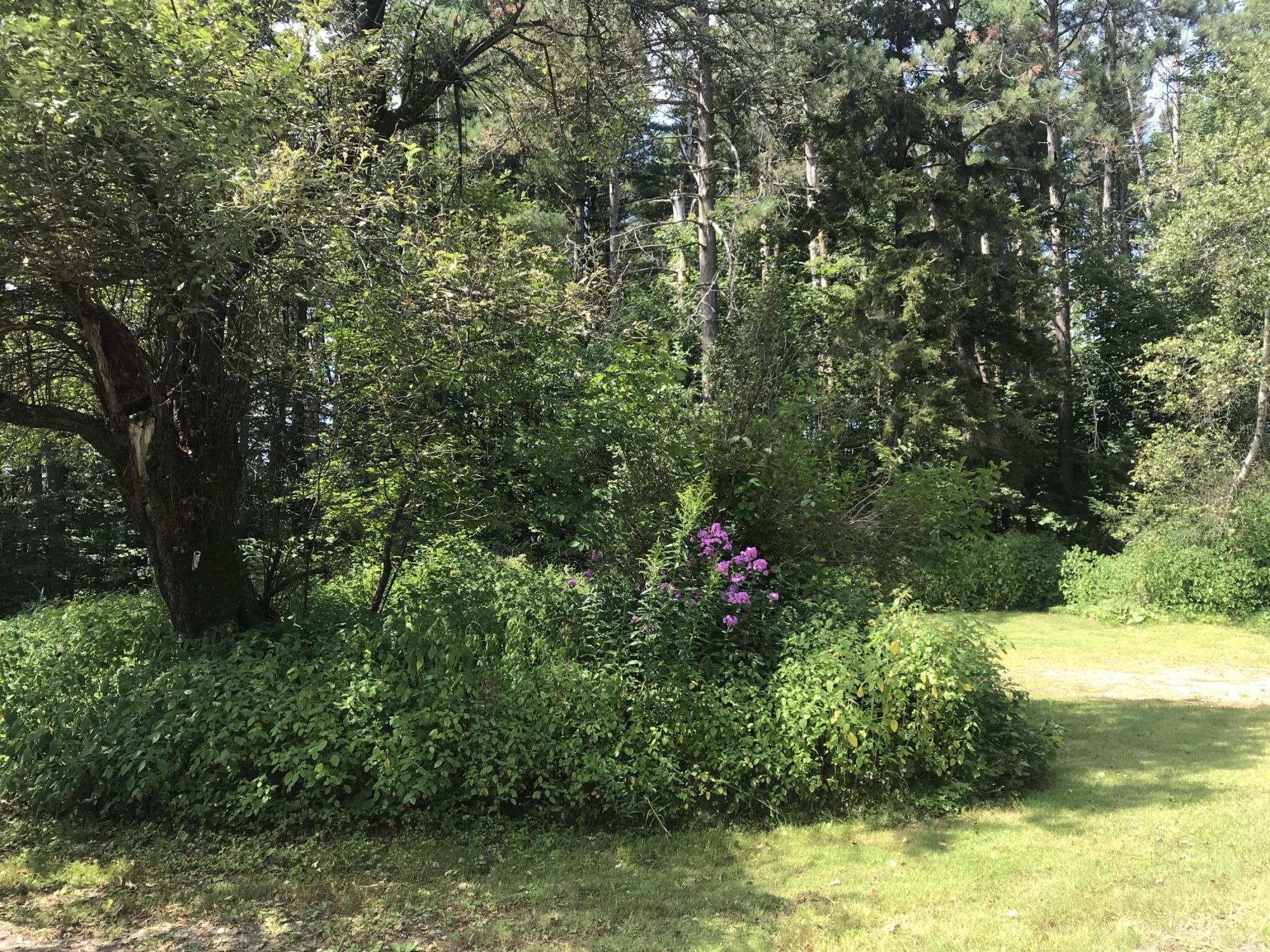 40 Humes Road Windsor, MA 01270 - Photo 6 of 10 a view of a garden with plants and large trees