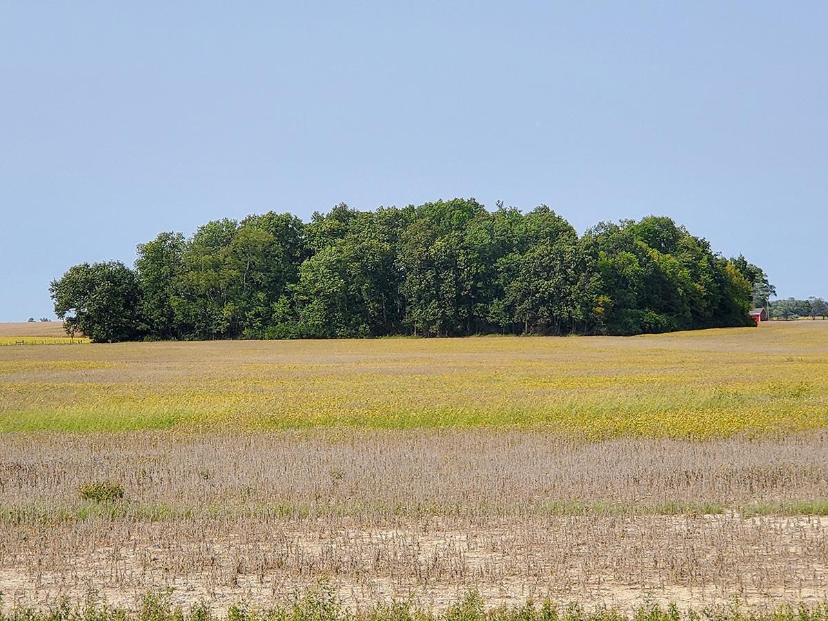 1301 Robinson Road Hamilton, OH 45013 - Photo 9 of 14