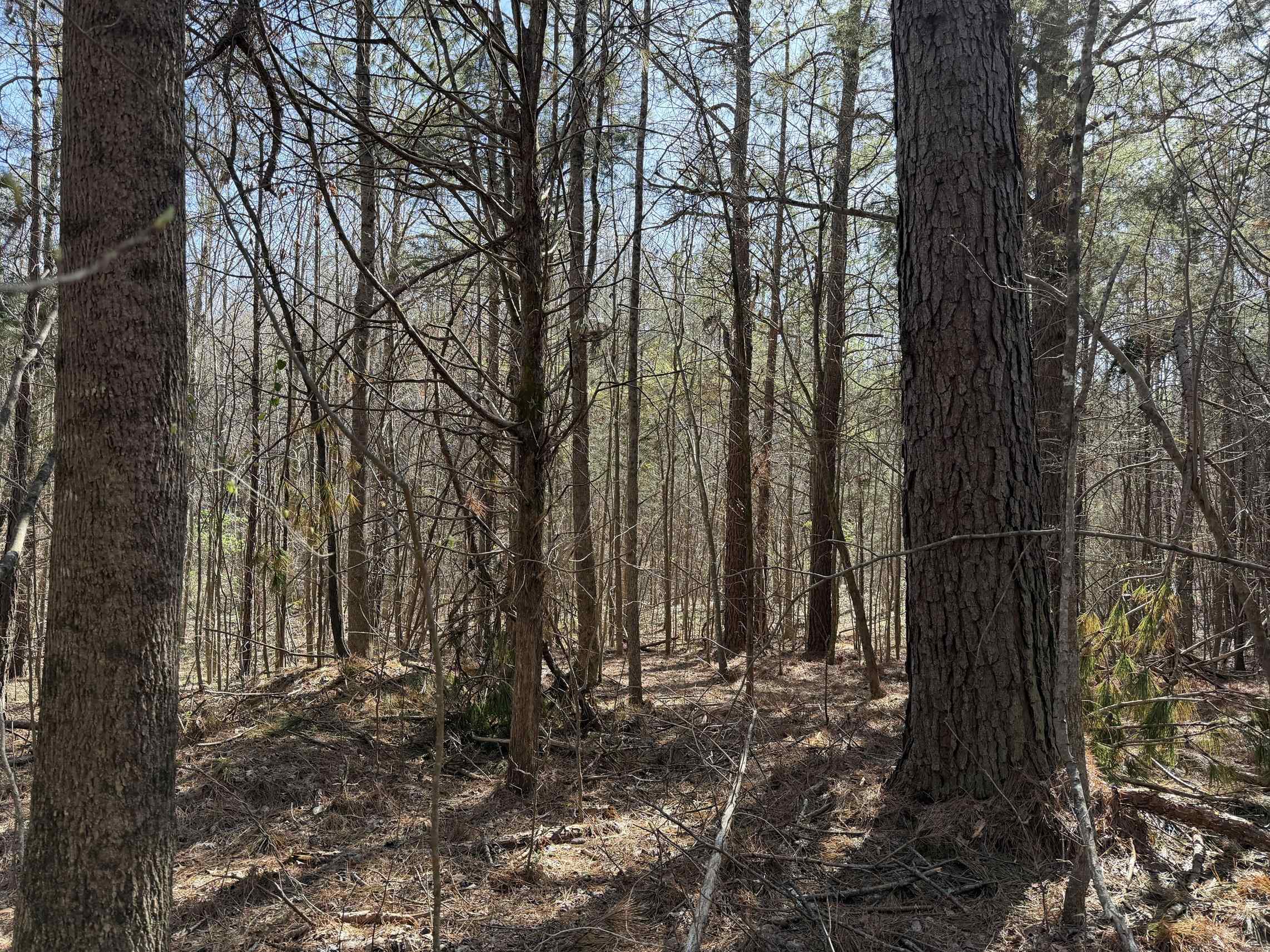 5085 Hardin Graveyard Road Enville, TN 38332 - Photo 29 of 40