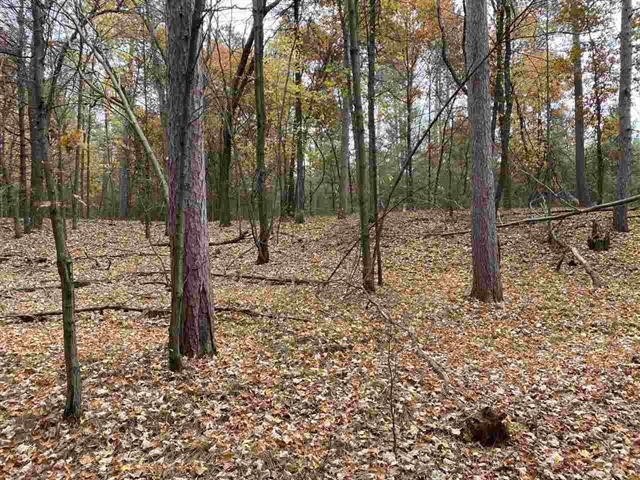 6.17-acres Townline Road Bancroft, WI 54921 - Photo 1 of 1