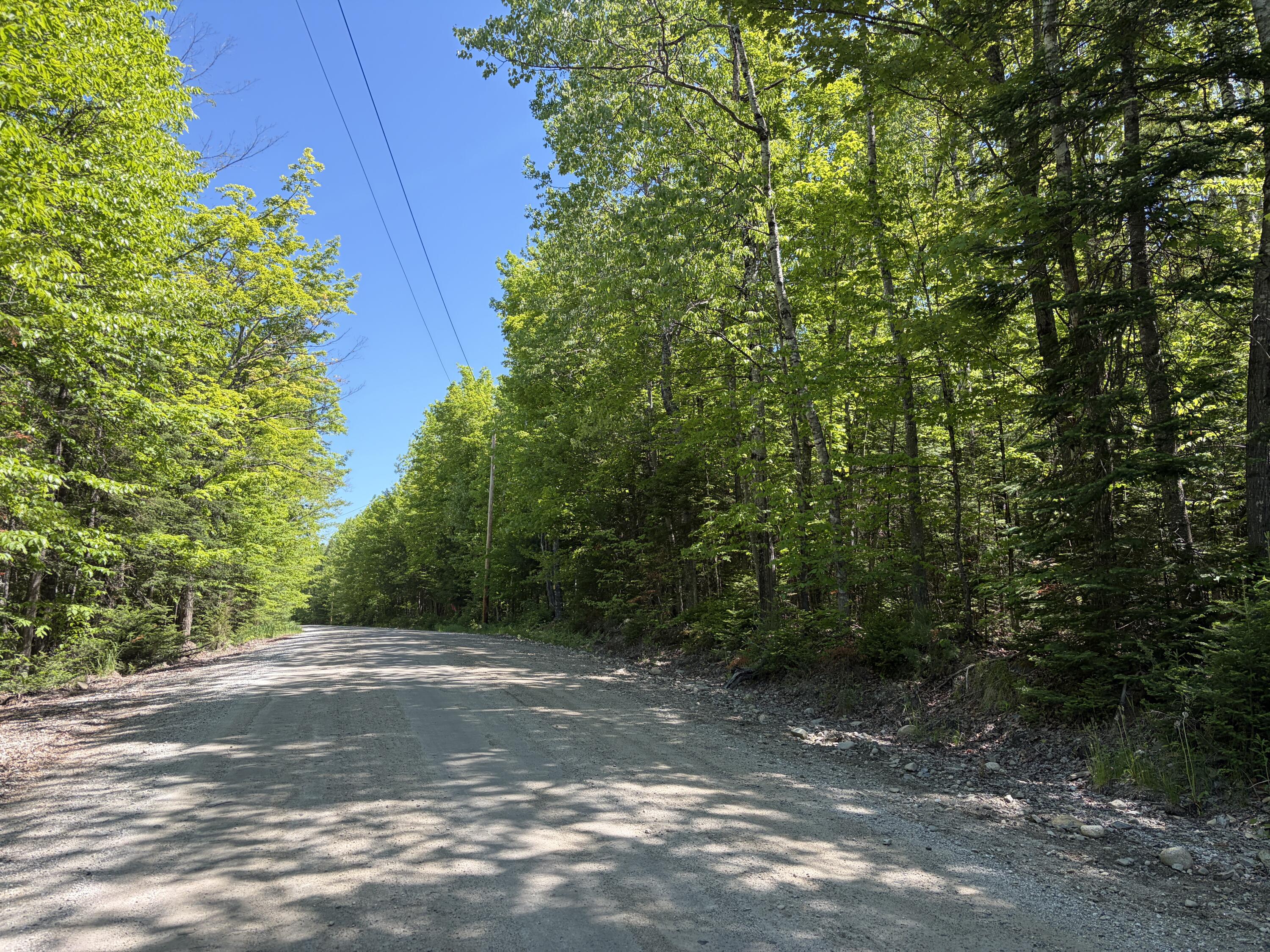 Lot 1 Holley Road Farmington, ME 04938 - Photo 3 of 12 IMG_7966