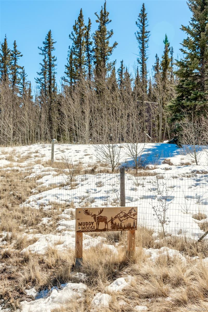 77 McDowell Drive Como, CO 80432 - Photo 14 of 50