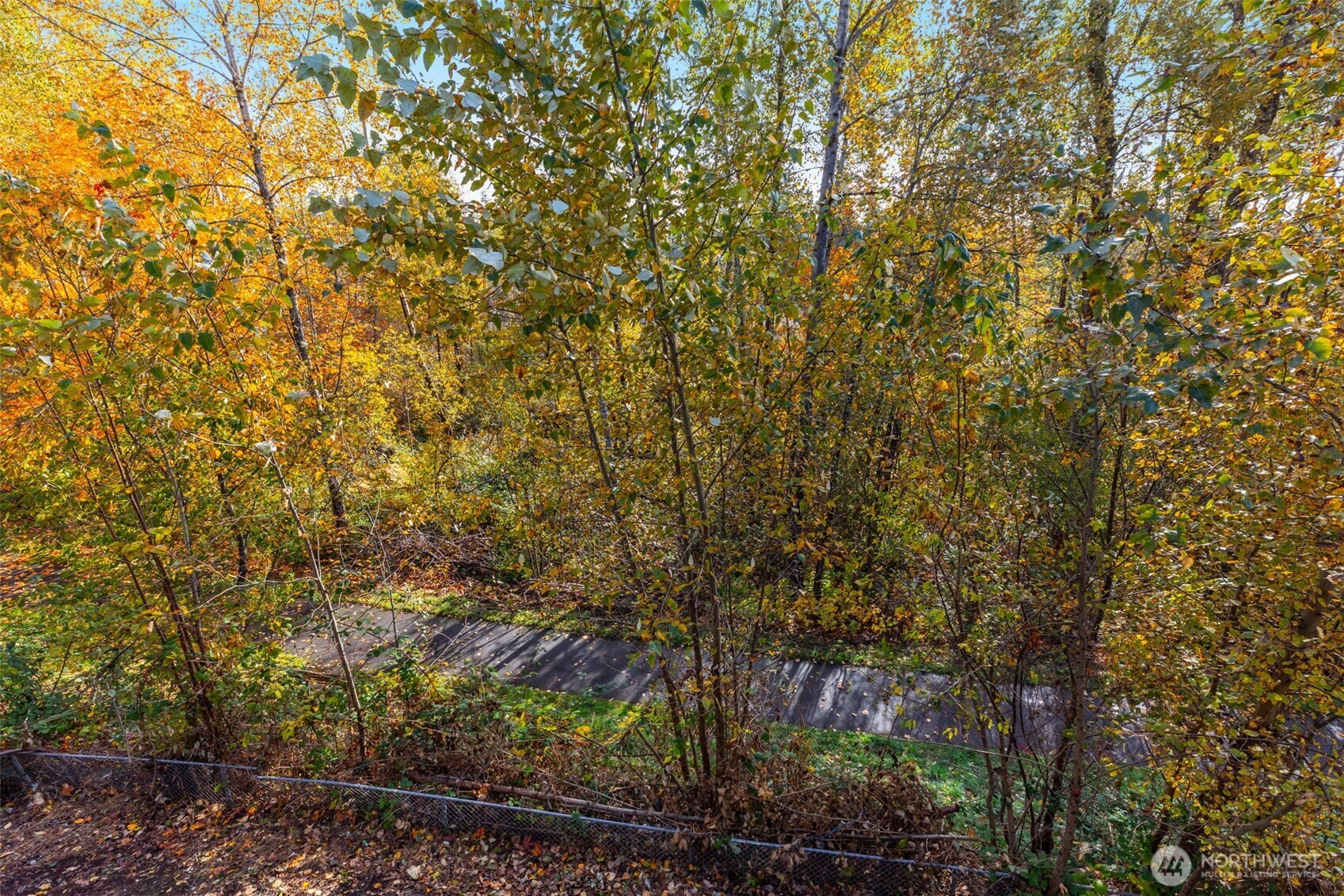 24308 185th Loop Southeast Covington, WA 98042 - Photo 27 of 33