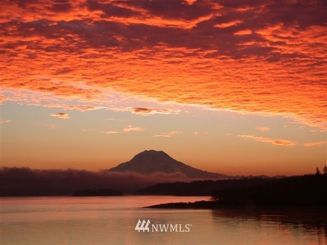 5817 Yeazell Road Southwest Longbranch, WA 98351 - Photo 3 of 12