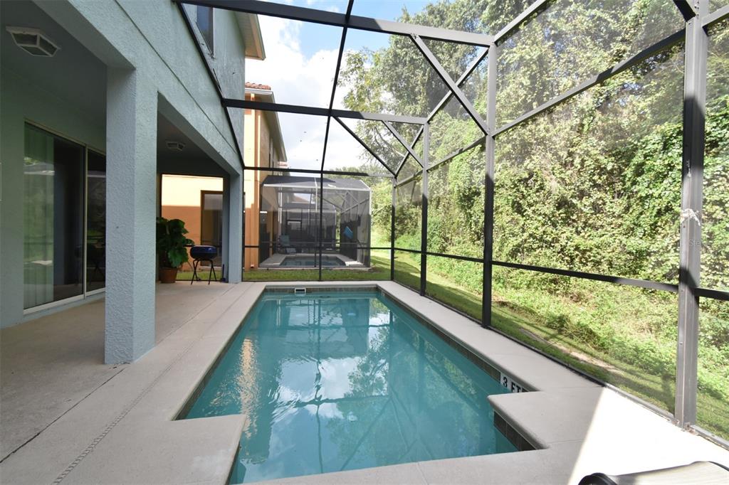 8878 Candy Palm Road Kissimmee, FL 34747 - Photo 19 of 70