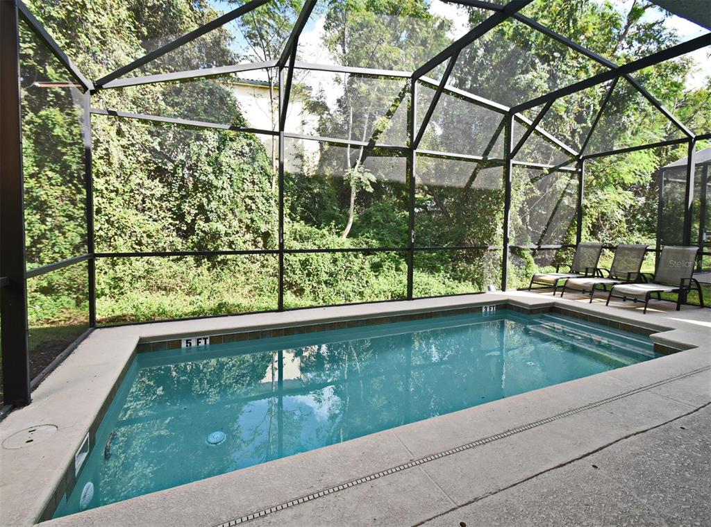 8878 Candy Palm Road Kissimmee, FL 34747 - Photo 20 of 70