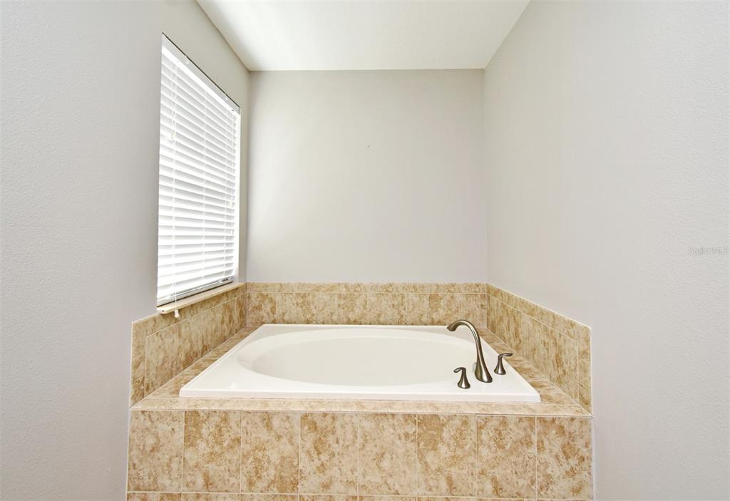 8878 Candy Palm Road Kissimmee, FL 34747 - Photo 49 of 70 a bath tub sitting in a bathroom next to a window