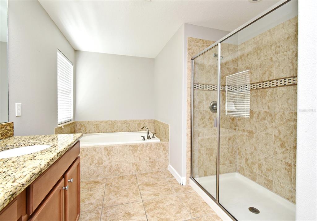 8878 Candy Palm Road Kissimmee, FL 34747 - Photo 50 of 70 a bathroom with a granite countertop sink a bathtub and shower