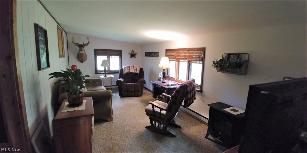 3948 Ayers Road Dorset, OH 44032 - Photo 4 of 20 Terrific family room