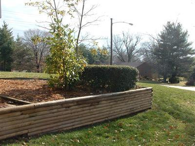 215 Wilson Downing Road Lexington, KY 40517 - Photo 21 of 22 Photo 21