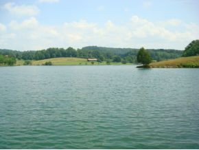 2654 Devault Bridge Road Piney Flats, TN 37686 - Photo 15 of 24 Photo 15