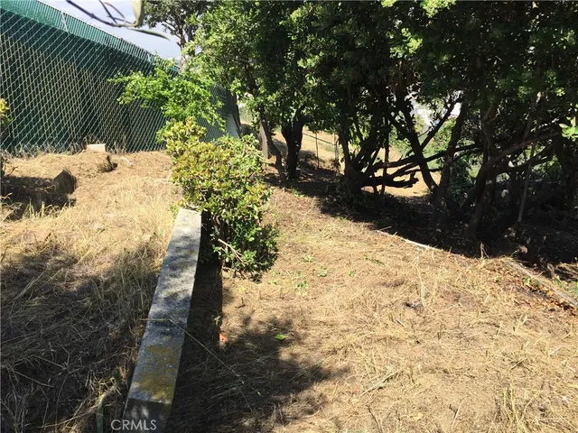 a view of a tree in the street