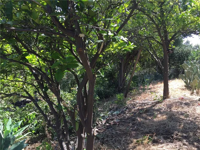 a backyard of a house