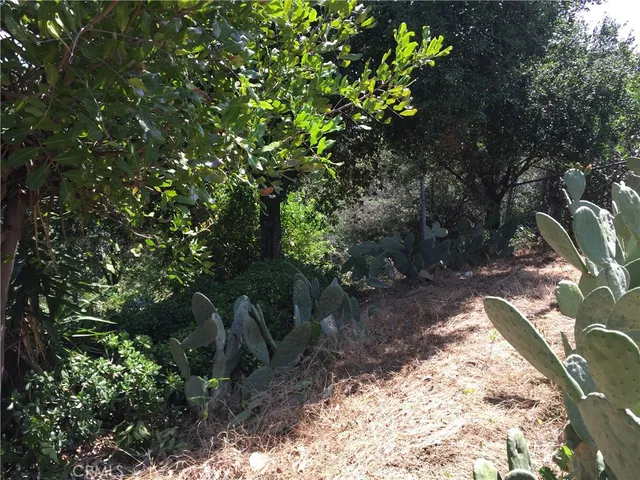 a view of a city with mountain