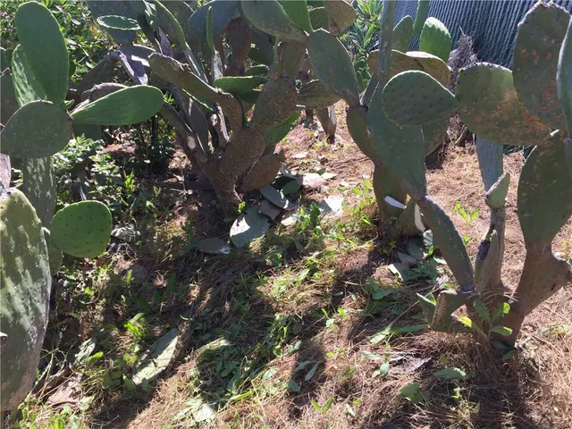 a view of a city with mountain