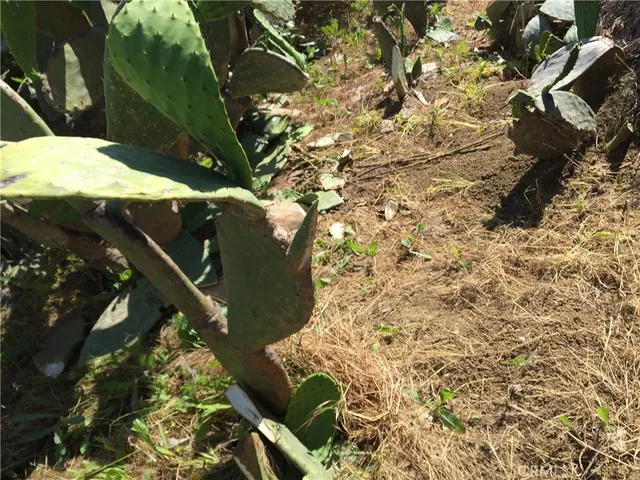 $598,800 | 0 Garvey Monterey Park, Monterey Park, CA 91754