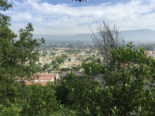 a view of lot of trees