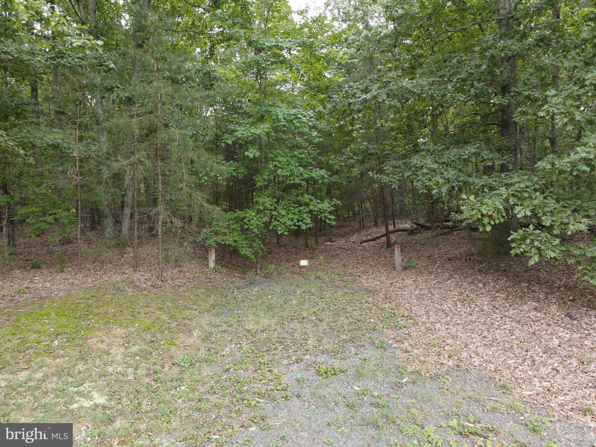 Truslow Road Fredericksburg, VA 22406 - Photo 2 of 6 Gallery Image 2