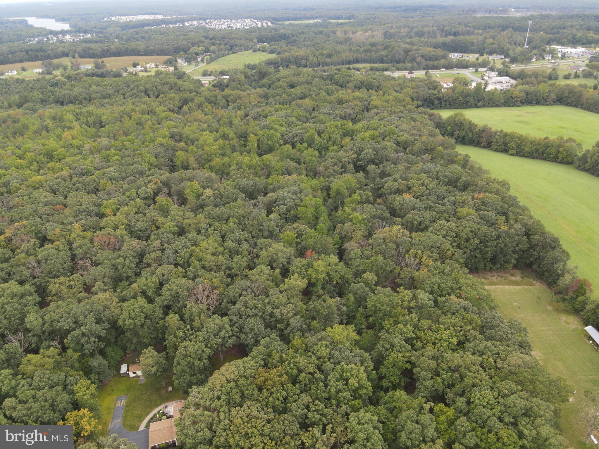 Truslow Road Fredericksburg, VA 22406 - Photo 4 of 6 Gallery Image 4
