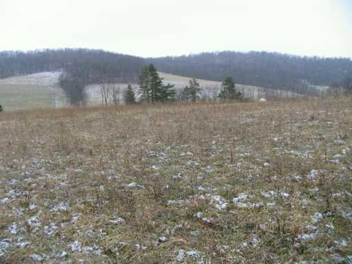 207 Valleyview Road Scenery Hill, PA 15360 - Photo 5 of 6 Land.