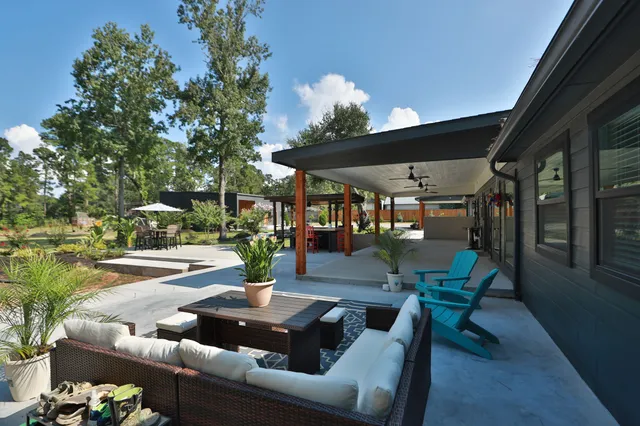 a outdoor space with a large tree