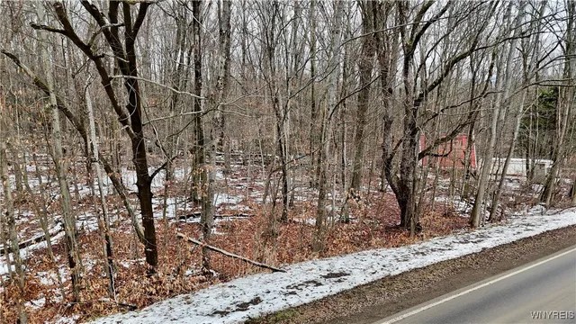 $34,900 | Cr-49, Caneadea, NY 14717