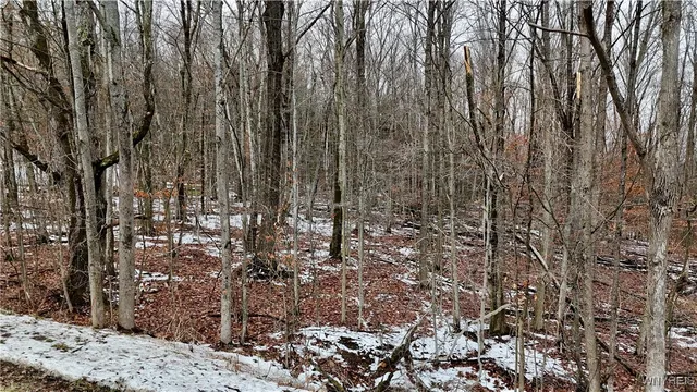 $34,900 | Cr-49, Caneadea, NY 14717