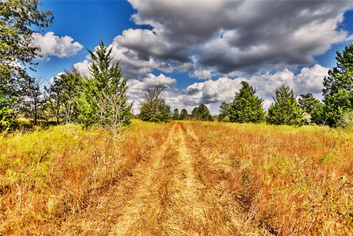4277 Opersteny Road Bryan, TX 77808 - Photo 13 of 18