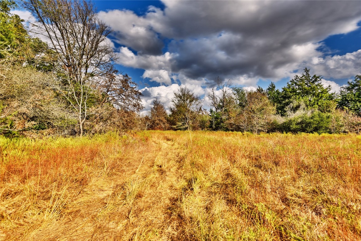 4277 Opersteny Road Bryan, TX 77808 - Photo 17 of 18